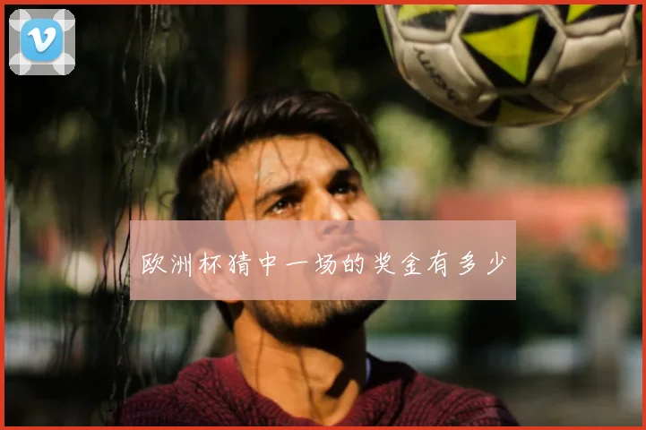 欧洲杯猜中一场的奖金有多少