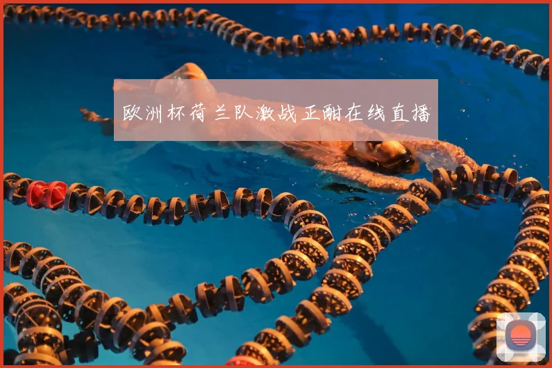 欧洲杯荷兰队激战正酣在线直播